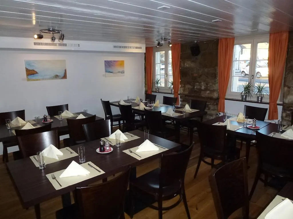 Gasthof Lowen Guest House Bassersdorf Switzerland